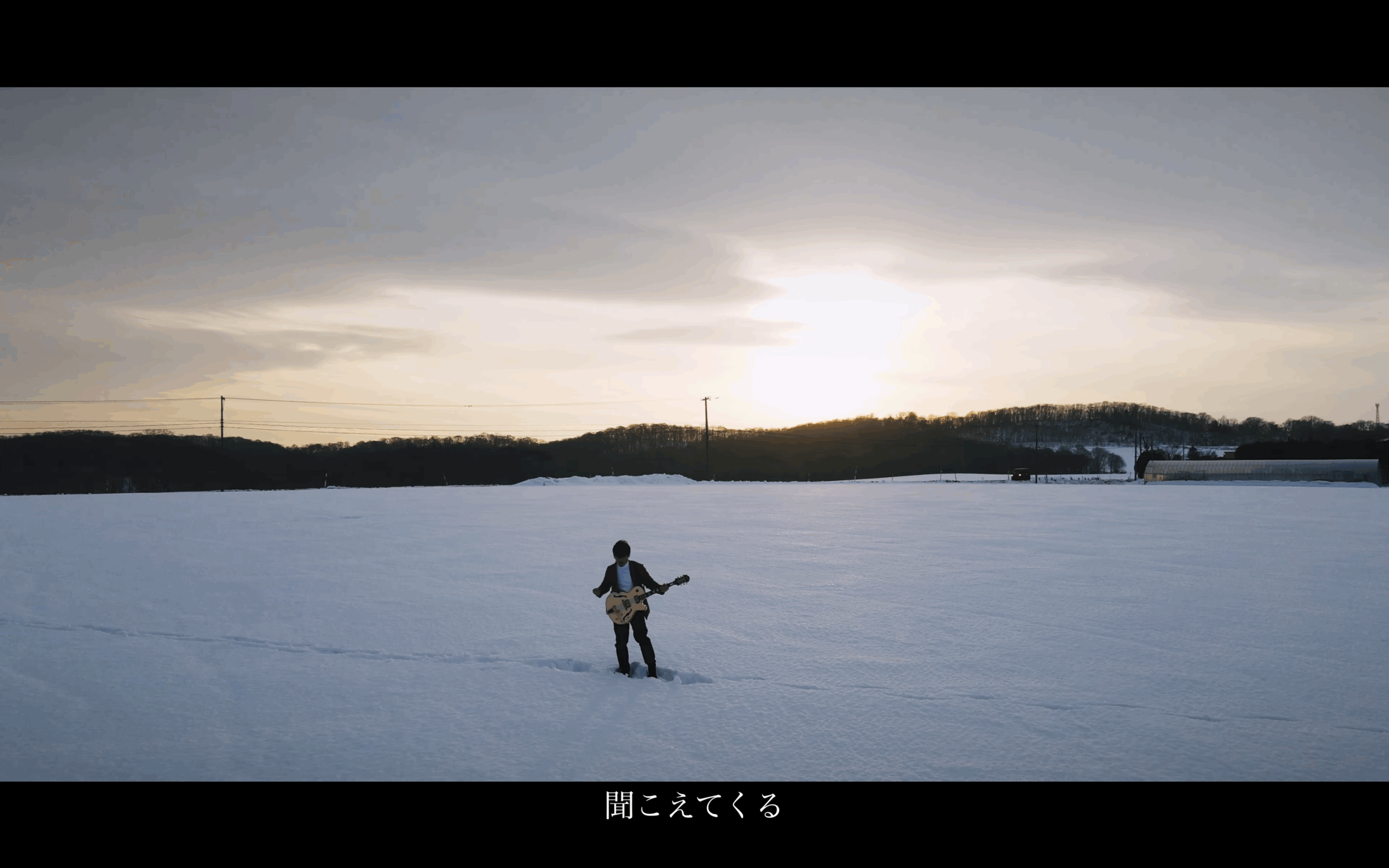 SNARECOVER_ギャラリー画像